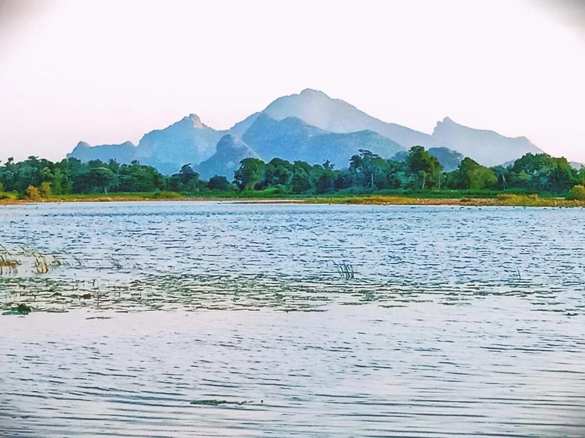 Sigiri Crown Tree Lodge Sigiriya 0*,