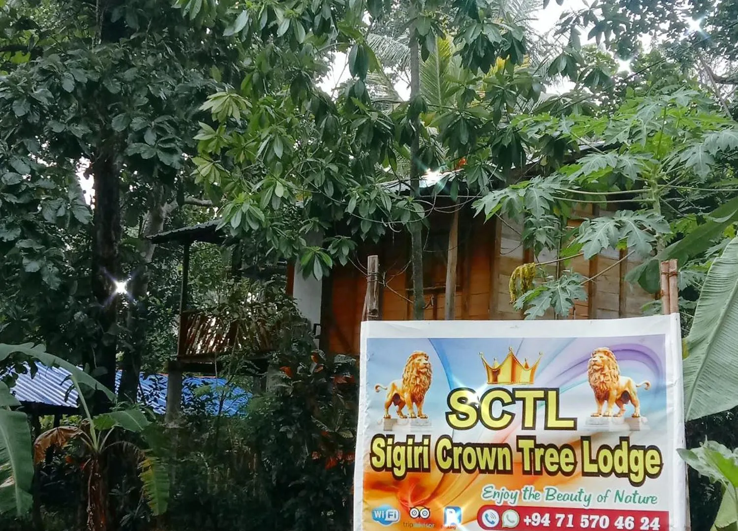 Sigiri Crown Tree Lodge Sigiriya